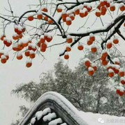 浩宇(文平)的头像