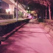 Sunny°刺眼o1的头像