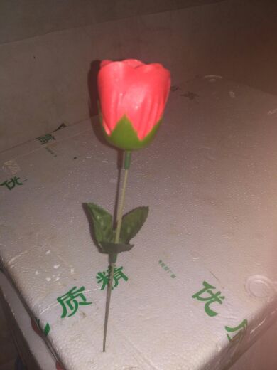 莹莹🍀🍀的主播照片