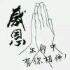 伤心孤雁海报