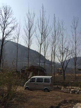 小龙恩@简简单单主播照片