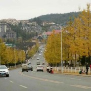 情到深處是陌路的頭像