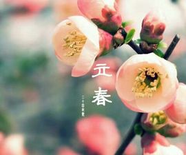 你的~小宝贝主播照片