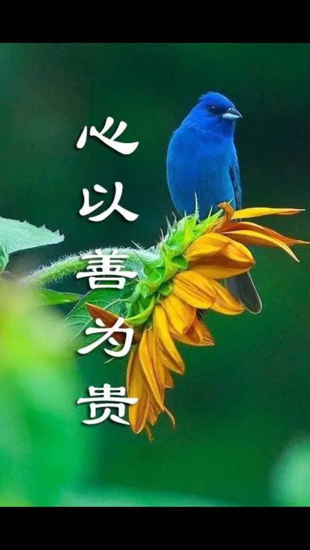一路上有陈且行且珍惜的主播照片