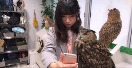 習慣有妮主播照片