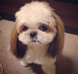 ☜梦★想☞不稳定卡卡主播照片