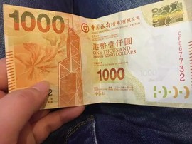 卡抡猫主播照片
