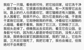 路路离播了，散了吧主播照片