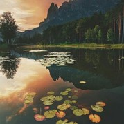 @么有海报