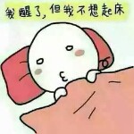 不要跟着我学的头像