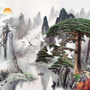 专属小韩哥海报
