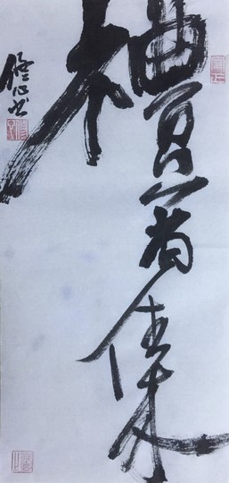 无处不神伤主播照片