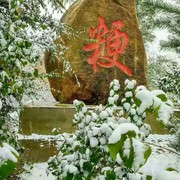 沐浴阳光*3海报