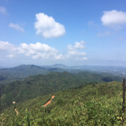 微信_3503597