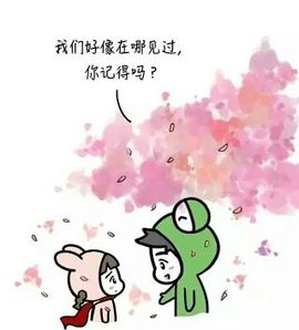 烟花🐾主播照片