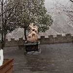子寒★萌二