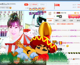 一只雁~主播照片