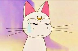 小满@前台接待主播照片
