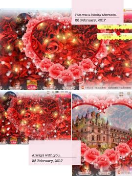 【大S】主播照片