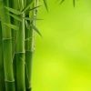 暗影杀手？？！！海报