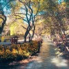 瑜霸霸