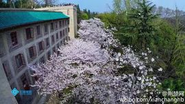 .钢镚儿主播照片