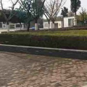 陈天逸的头像
