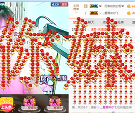 一只雁~主播照片