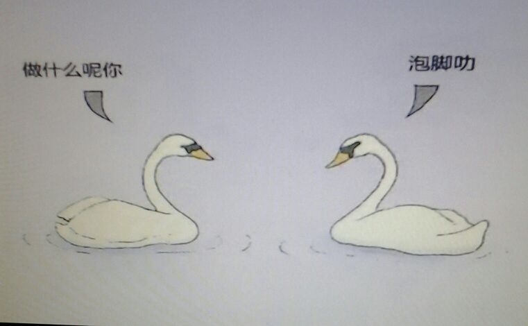 ♬⊱难得糊涂⊰♬的主播照片