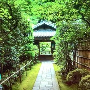 小裁缝sd