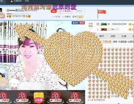 一只雁~主播照片