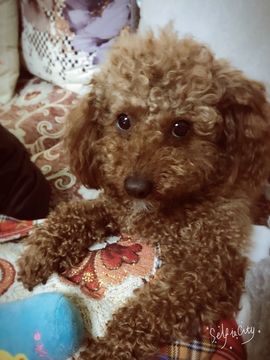 ❁偲偲❁╭☞六月见主播照片