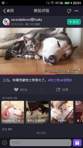 ✨媳婦⭐求🌙帶走✨主播照片