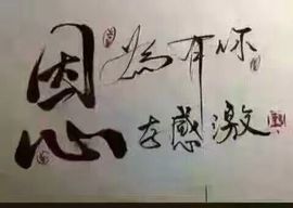 欣如，贝贝主播照片