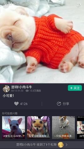 ✨媳婦⭐求🌙帶走✨主播照片