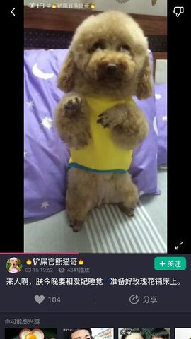 ✨媳婦⭐求🌙帶走✨主播照片