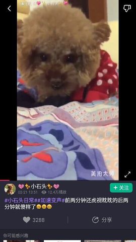 ✨媳婦⭐求🌙帶走✨主播照片