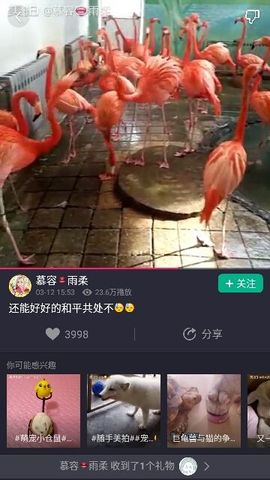 ✨媳婦⭐求🌙帶走✨主播照片