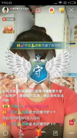 海鸽晚上晚会播主播照片