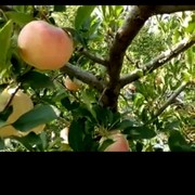 昵称违规，请重新修改