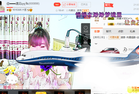 一只雁~主播照片