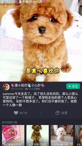 ✨媳婦⭐求🌙帶走✨主播照片