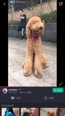 ✨媳婦⭐求🌙帶走✨主播照片