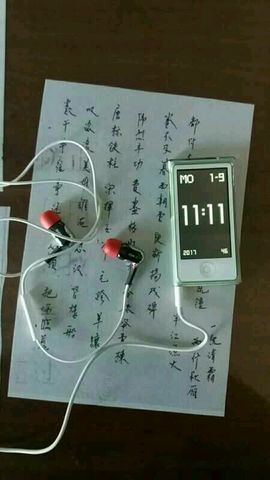 海鸽晚上晚会播主播照片