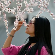 轻烟u