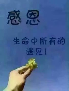 ❤娜宝主播照片