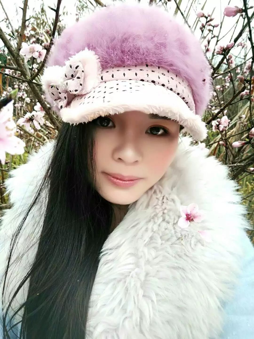 恐龙路线的图片
