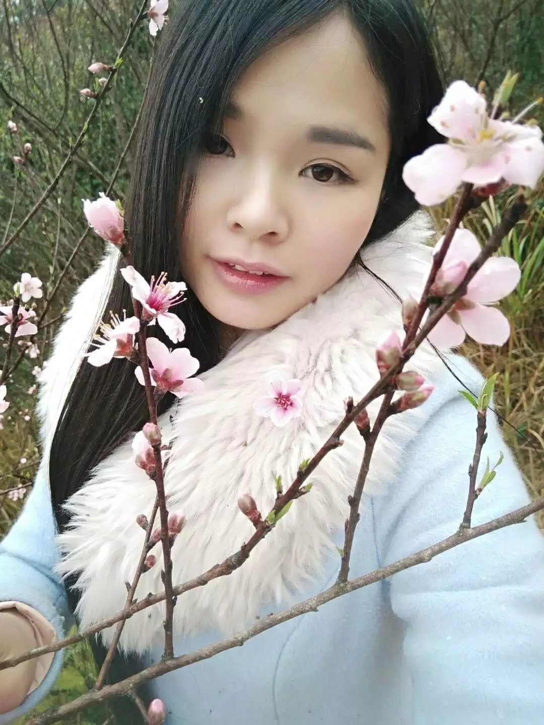 恐龙路线的图片