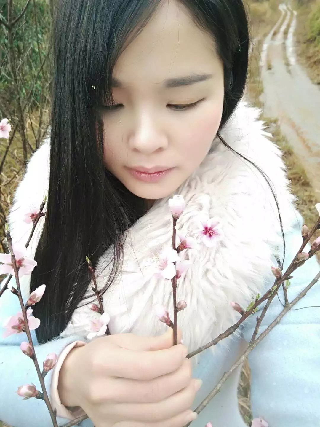 恐龙路线的图片