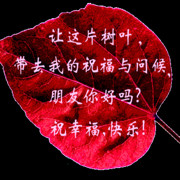 孤独月牙